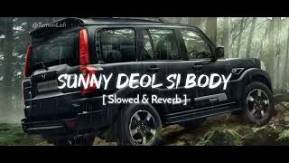 Sunny Deol Si Bady Slowed & Reverd