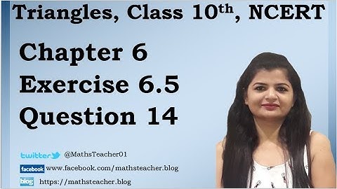 Triangles | Chapter 6 Ex 6.5 Q - 14 | NCERT | Maths Class 10th