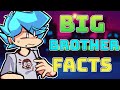 Big Brother Mod Explained in fnf ( Full Lore Explained!)