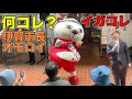 いがグリオと伊賀市長の稲盛稔尚氏現れる!