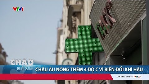 Nắng nóng 40 độ C làm khoảng 2.300 người tử vong ở châu Âu | Cụm tin | VTV24