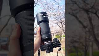 70-300MM F/4.5-6.3 DI |II RXD lens, focal length zoom sample photos  #sonya7ii #tamron70300 #tamron
