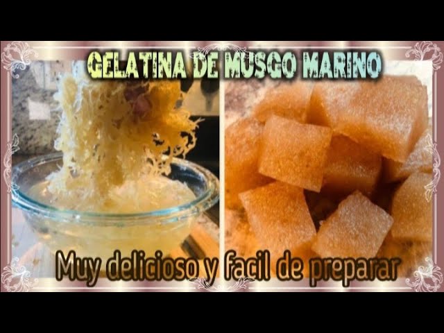 Gelatina de Musgo Marino, o Sea Moss Gel 