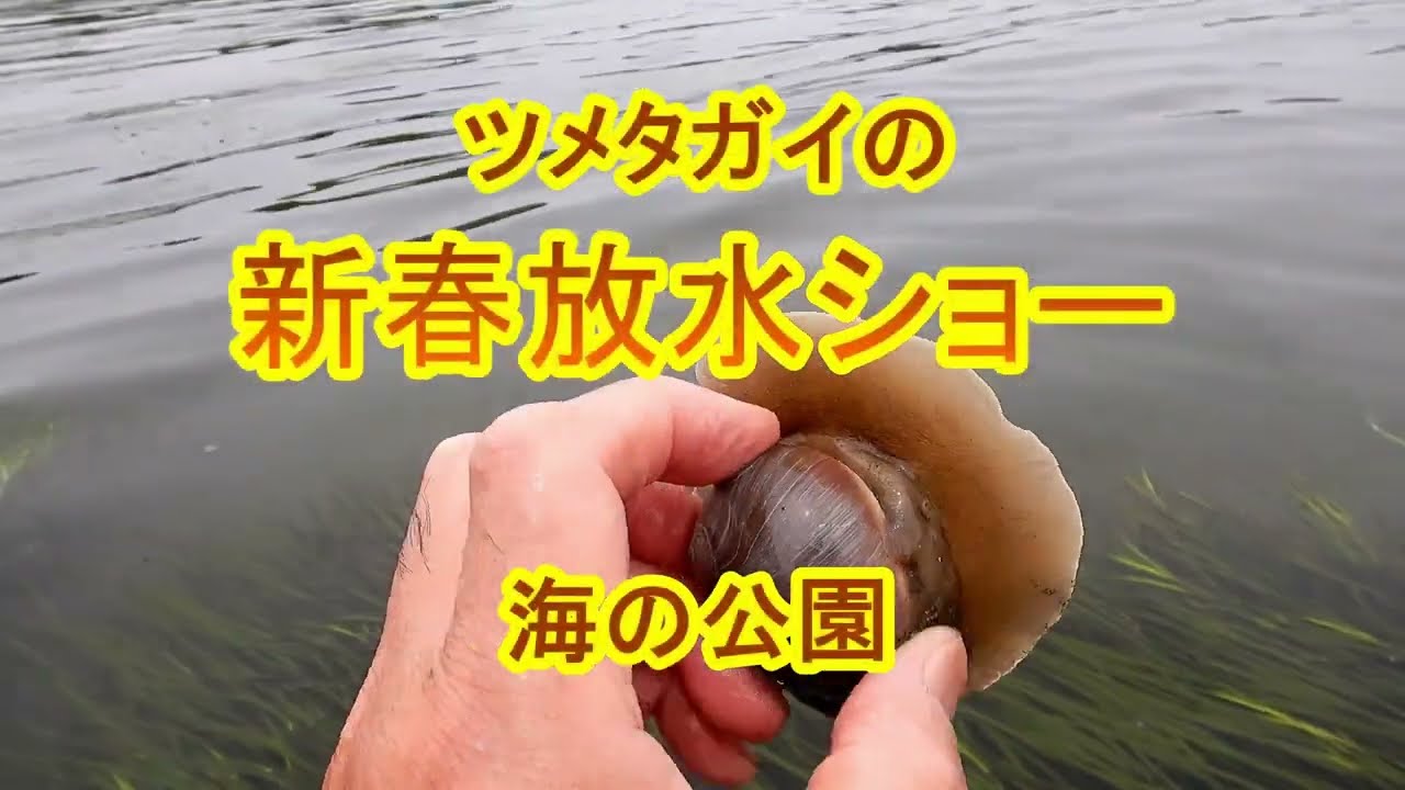 史上最強の潮干狩り超人 潮干狩り アサリの敵にお仕置き