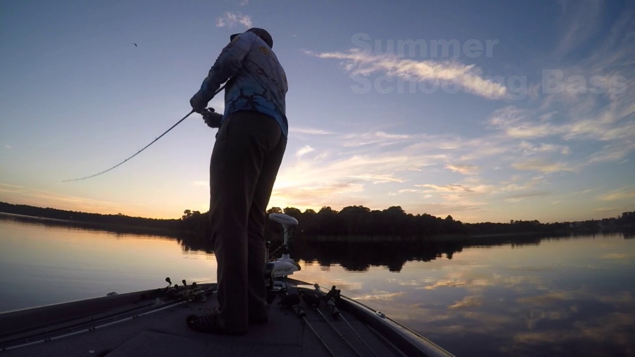 2016 Mid Summer Bass Lake Tarpon YouTube