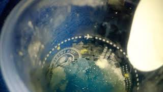 ICE EATING/ICE ASMR/ICE MUKBANG/ICE CRUNCHY　No.30
