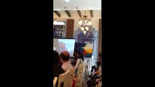 8 Minute Feature Presentation by Anoushka ~ Artist