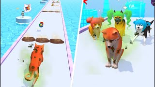 Groomer run 3D 🐕❤️🐩 NEW UPDATE!! All Levels Gameplay Android,ios screenshot 3