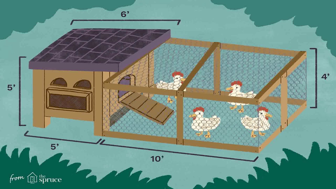 Poultry House Construction YouTube