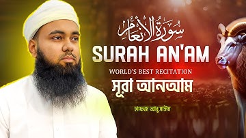 Surah Al An'am (سورة الأنعام) | Heart touching beautiful voice | HAFEZ ABU SAYEM
