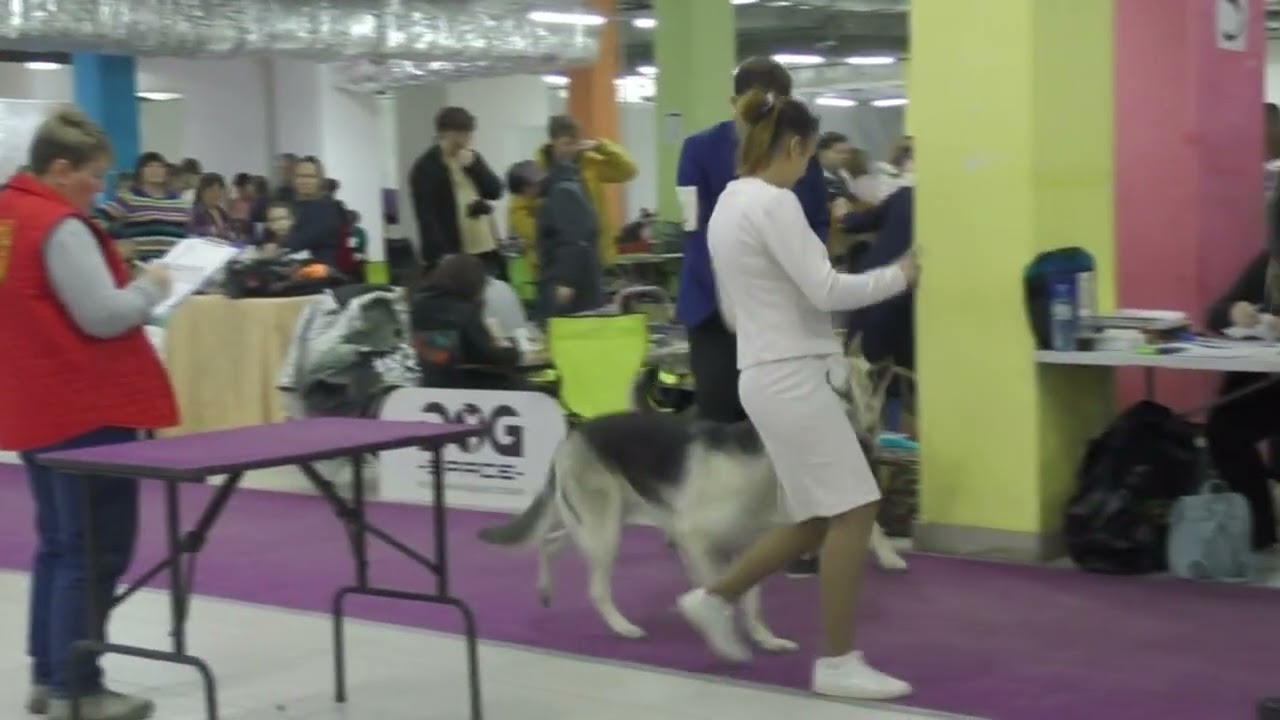 Сравнение СЮ