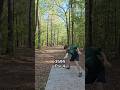 Birdie of the Day, short par 4 but tough to reach! #birdie #discgolf #sports