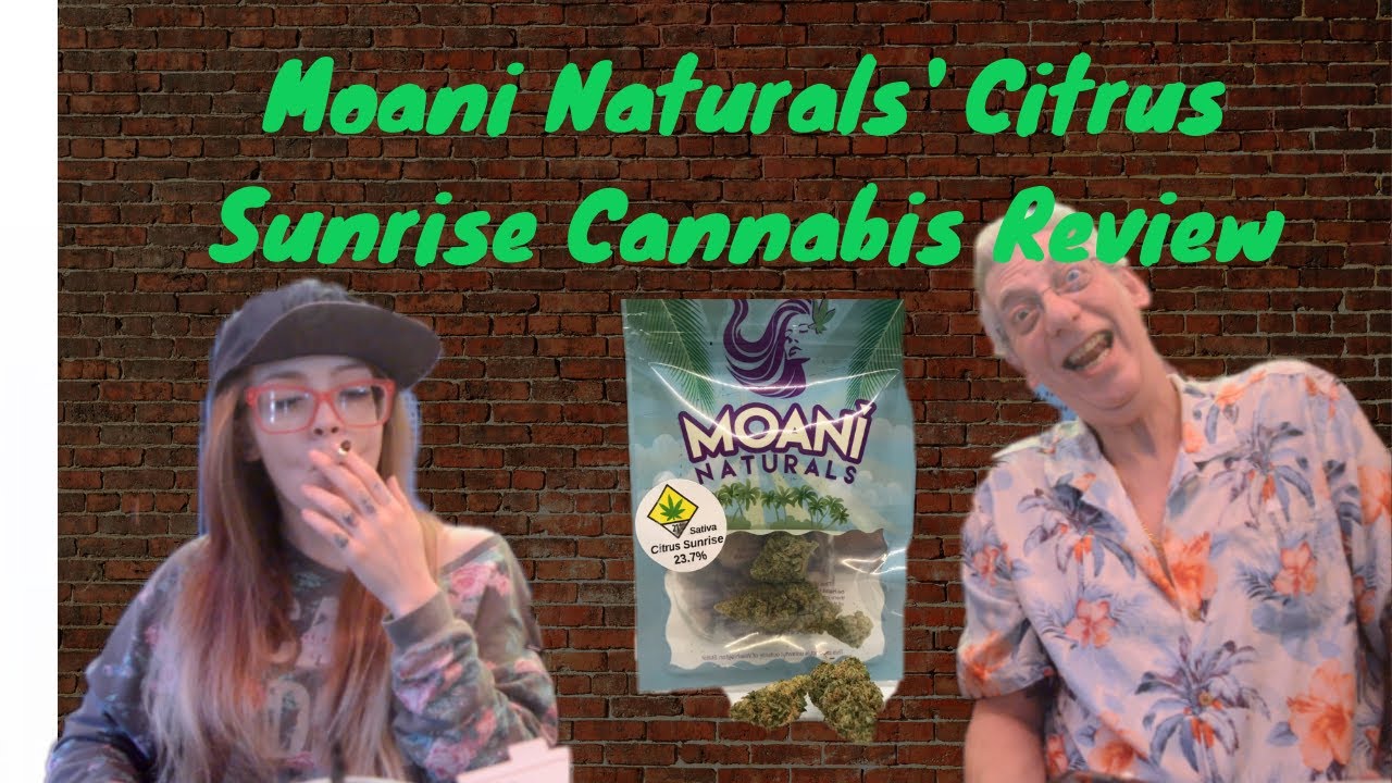 Citrus Sunrise Cannabis Strain Review with MissMidas420x