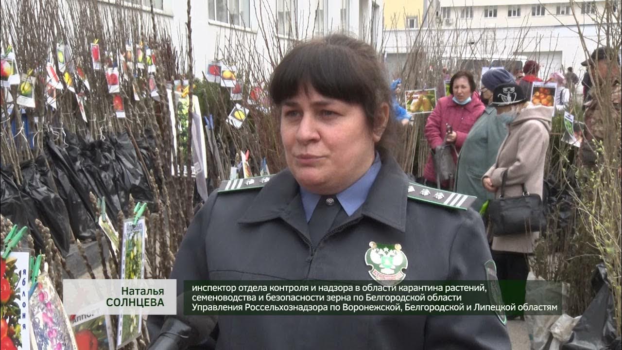 Россельхознадзор по воронежской белгородской и липецкой. Россельхознадзор воронеж. россельхознадзор (воронеж, белгород, липецк).