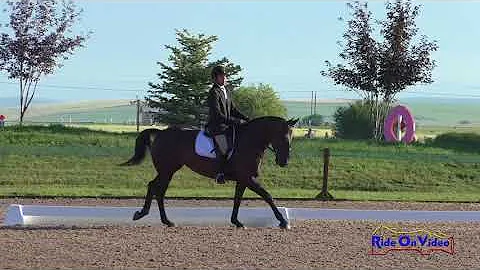 413D Chris Kawcak on Maggie Belle Novice 3-Day Dre...