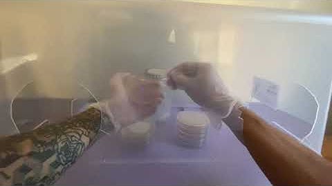 How To Use A Spore Swab - Mushroom Cultivating