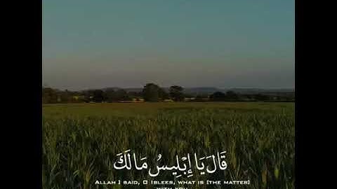 قرأن كريم حالات واتس أب❤تلاوة تشرح الصدر🥀