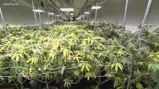 Kentucky lawmaker speaks on sports betting, medical marijuana bills