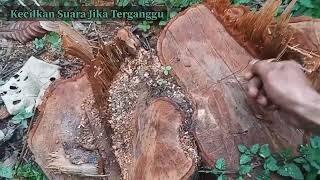 Mama pura pura tidur ‼️ crt dws