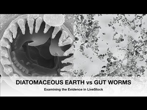 DIATOMACEOUS EARTH vs GUT WORMS; Comparing the Evidence | Sez the Vet