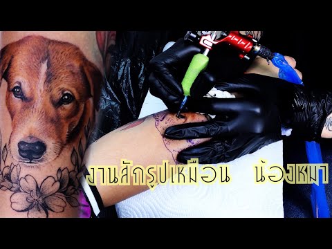 สักลาย Dog tattoo งานสักรูปเหมือนน้องหมา Kongtattoo59 พิกัด รังสิต ซอยบุญคุ้ม