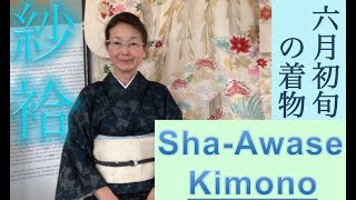 Kimono Japan 着物・きものと日本文化09: Unique Sha-Awase Kimono for early summer 初夏にのみ着る紗袷の着物 (English 英語解説 和訳付）