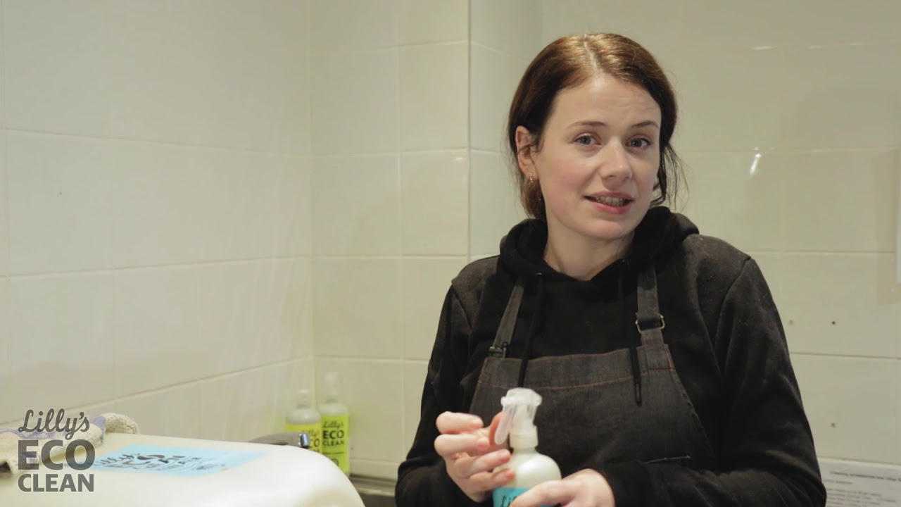 Lilly's Eco Clean General Store at the Green Door Market