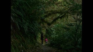 FIVE, a short film