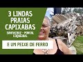 3 LINDAS PRAIAS CAPIXABAS ( e um peixe de ferro)