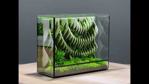 The Oracle - a desktop grade parametric sculpture, preserved moss terrarium by TerraLiving