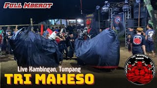 KALAPAN BANTENG‼️TRI MAHESO Terbaru Live Kambingan Tumpang