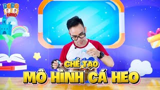 DODO DINO| Chế tạo mô hình cá heo| Khoa học vui nhộn - STEM - STEAM