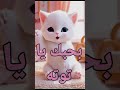 اغنية بحبك يا توته الفيديو كامل على القناة اغنية باسم توتة اغنية توته توتة 