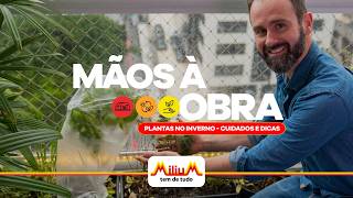 How to Protect Your Plants in Winter: Essential Care | Mãos à Obra How to Protect Your Plants in Winter: Essential Care | Mãos à Obra
