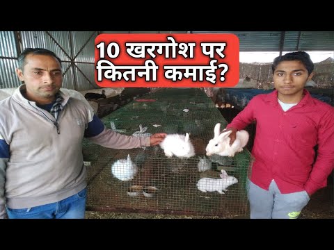 1 यूनिट खरगोश पर कितनी कमाई होगी ? । How to follow rabbit । kisan farming