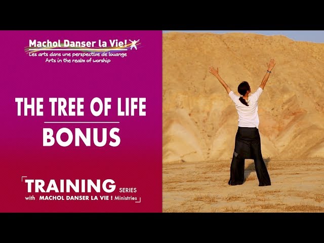 MACHOL TRAINING SERIES - THE TREE OF LIFE - BONUS class=