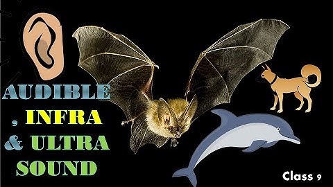 Audible , Infra & Ultra sounds (Class 9) frequencies of- #audible sounds #infra sounds #ultra sound