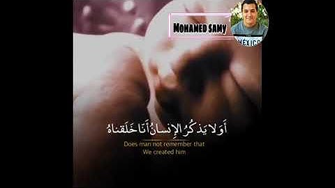 حالات واتس آب قرآن كريم الشيخ ناصر القطامي