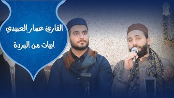 القارئ عمار العبيدي| البردة.. ساري ظعنهم.. تفريدات في غاية الروعة