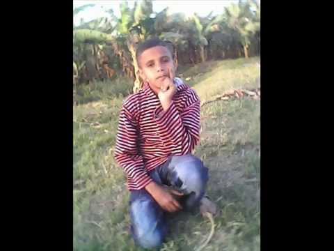 بركولها احمد معلاوى