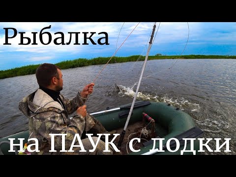 Видео: ПАУКИ ТРЕЩАЛИ ПО ШВАМ ОТ ЭТИХ САЗАНОВ! РЫБАЛКА НА ПАУК С ЛОДКИ ВОЗЛЕ СЕКРЕТНОГО МОСТА!