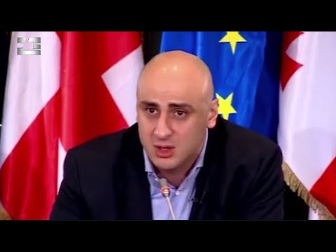 ნიკა მეილია არ გამორიცხავს, რომ სალომე ზურაბიშვილმა  მიხეილ სააკაშვილი შეიწყალოს