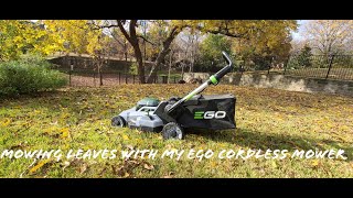 Download Lagu Mowing leaves with EGO LM2114 Cordless Lawn mower MP3
