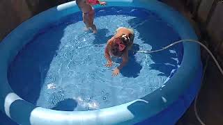 #shopee piscina  inflável Atrio Acqua 2500 litros#montage #divertido #água #compras