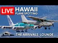 Live a380s arrive during livestream plane spotting in hawaii the arrivals lounge phnlhnl