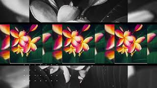 🌺 Reprise Moemoe au 🌺