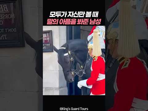 모두가 자신만 볼 때 말의 아픔을 봐준 남성 thumbnail