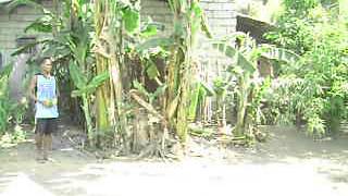 Hamilton Bravo Arrayu Lattu