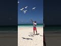 Melia Cayo Coco (part 7)