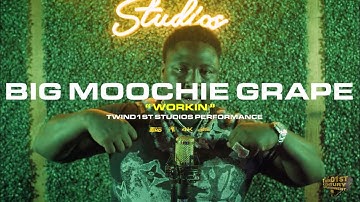 @bigmoochiegrape4312 - “WORKIN”